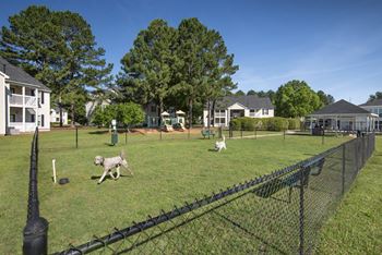 Dog park